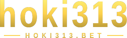 hoki313 logo
